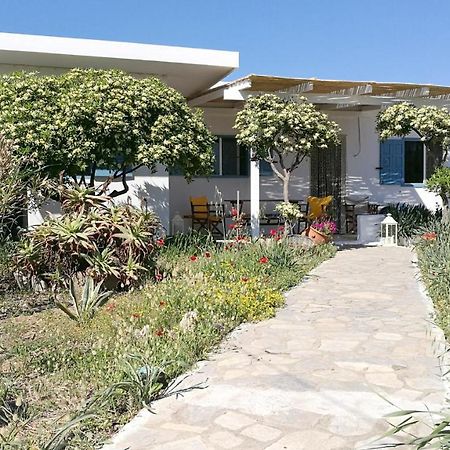 Вилла Anemos Seaside House Скирос Экстерьер фото